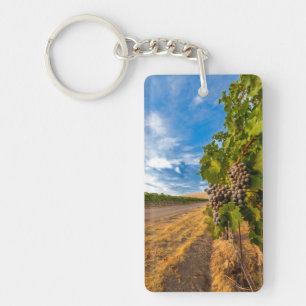 USA, Washington, Yakima Valley. Merlot Grapes Key Ring