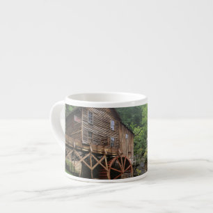 USA, West Virginia, Babcock SP. Rustic Glade Espresso Cup