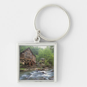 USA, West Virginia, Babcock SP. Rustic Glade Key Ring