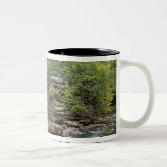 USA, West Virginia, Babcock SP. Rustic Glade Two-Tone Coffee Mug (Right)