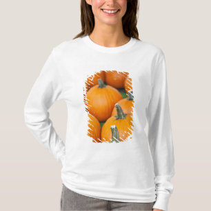 USA, West Virginia, Charleston. Capitol 2 T-Shirt