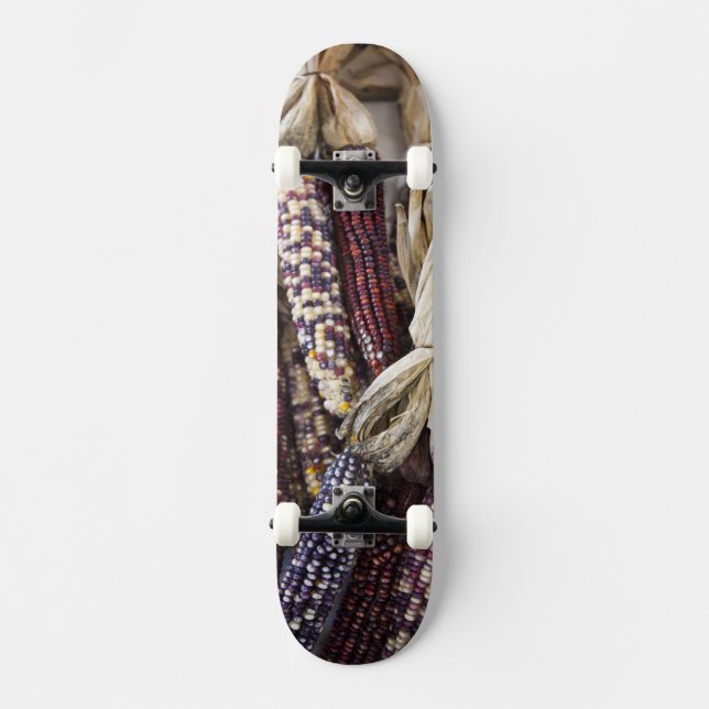 USA, West Virginia, Charleston. Capitol Skateboard (Front)