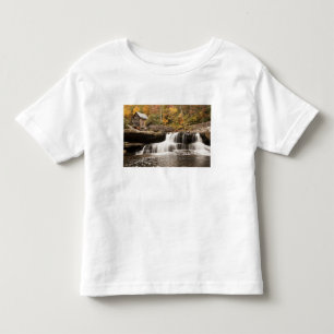 USA, West Virginia, Clifftop. Babcock State Toddler T-Shirt