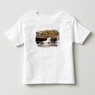 USA, West Virginia, Clifftop. Babcock State Toddler T-Shirt