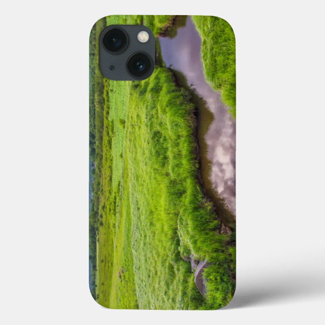 USA, West Virginia, Davis. Landscape 2 Case-Mate iPhone Case (Back)
