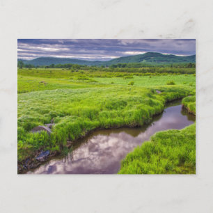 USA, West Virginia, Davis. Landscape 2 Postcard