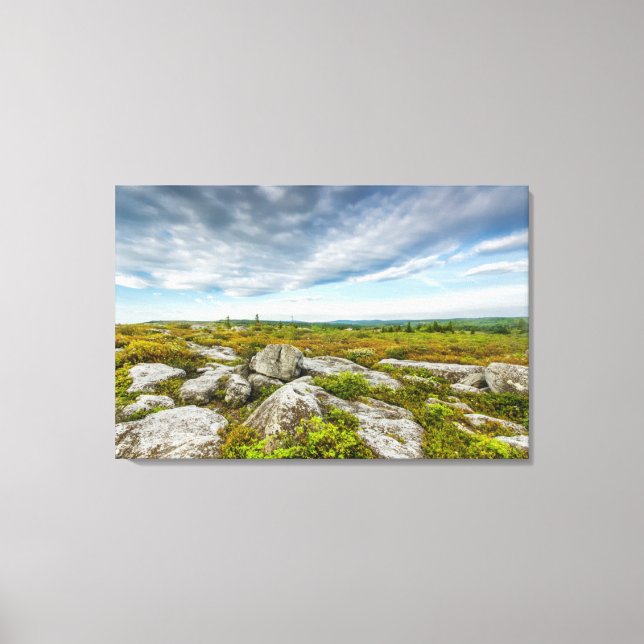 USA, West Virginia, Davis. Landscape In Dolly Canvas Print (Front)