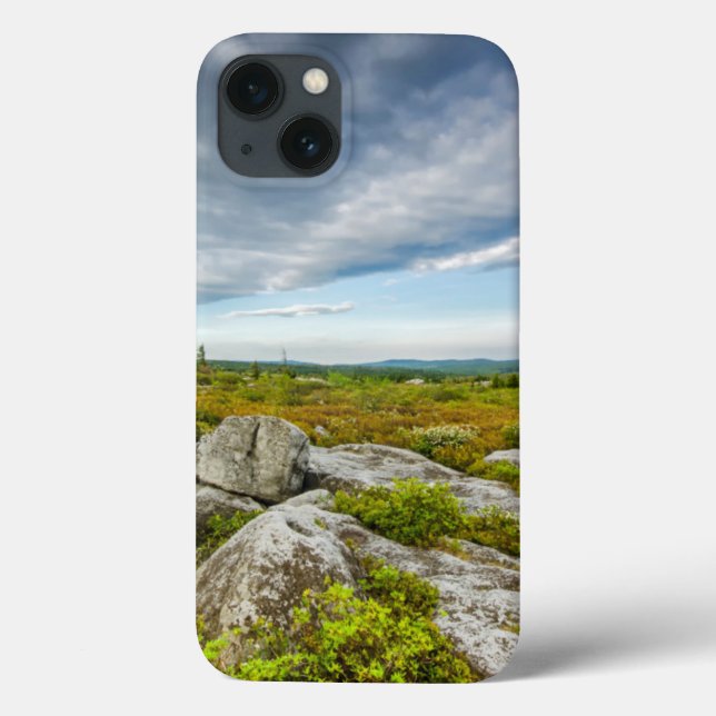 USA, West Virginia, Davis. Landscape In Dolly Case-Mate iPhone Case (Back)