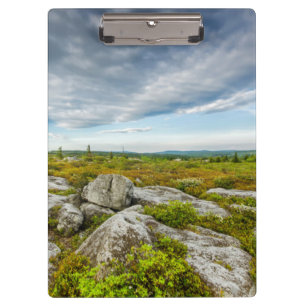 USA, West Virginia, Davis. Landscape In Dolly Clipboard