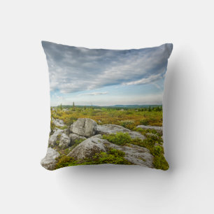 USA, West Virginia, Davis. Landscape In Dolly Cushion