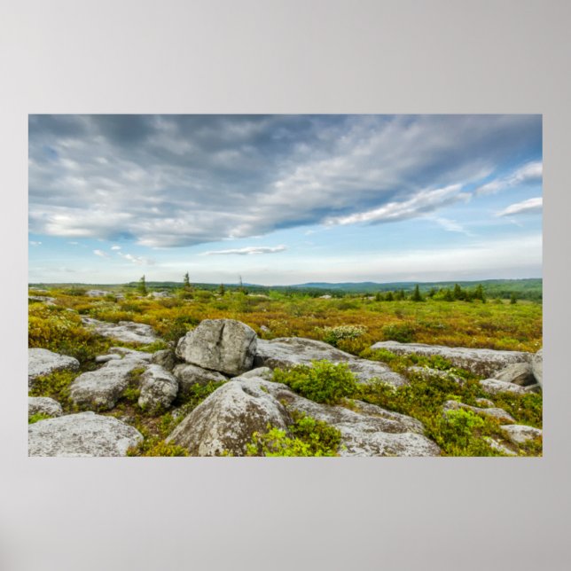 USA, West Virginia, Davis. Landscape In Dolly Poster (Front)