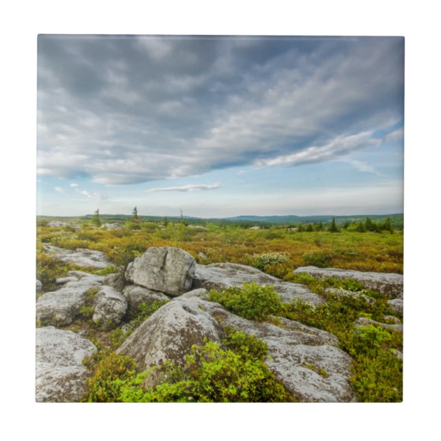 USA, West Virginia, Davis. Landscape In Dolly Tile (Front)