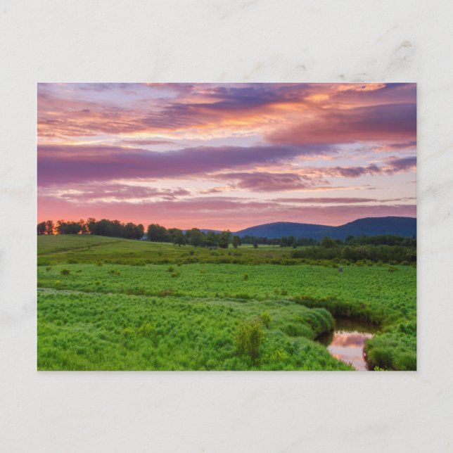 USA, West Virginia, Davis. Landscape Postcard (Front)