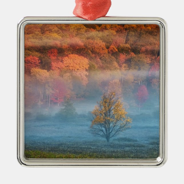 USA, West Virginia, Davis. Misty valley and Metal Tree Decoration (Front)