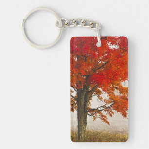 USA, West Virginia, Davis. Red maple in autumn Key Ring