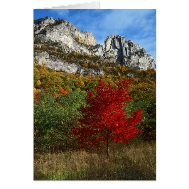 USA, West Virginia, Spruce Knob-Seneca Rocks (Front)