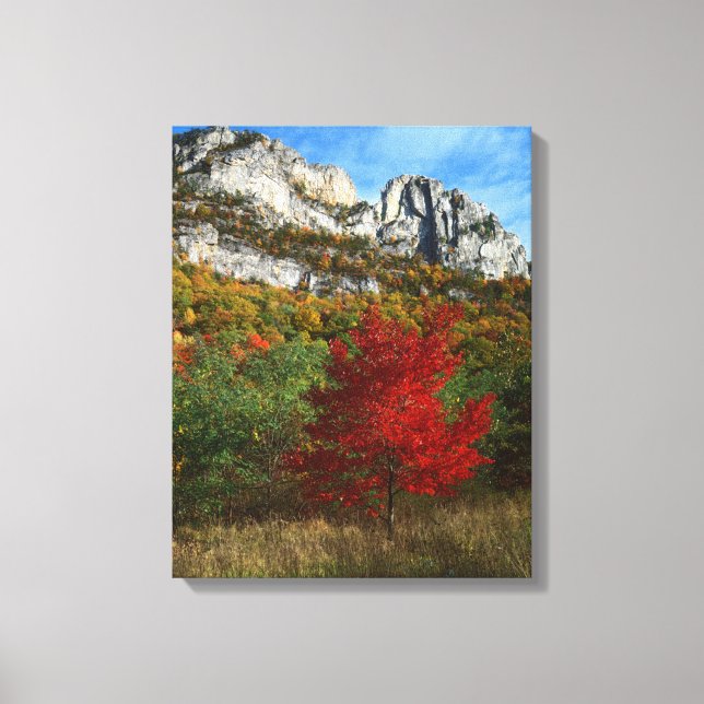 USA, West Virginia, Spruce Knob-Seneca Rocks Canvas Print (Front)