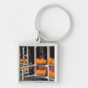 USA, WISCONSIN, Washburn: Lake Superior Shore, Key Ring