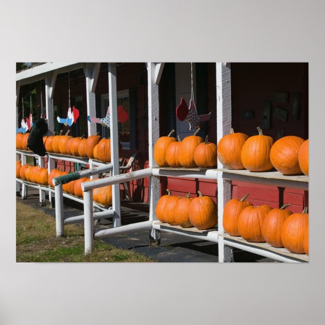USA, WISCONSIN, Washburn: Lake Superior Shore, Poster (Front)