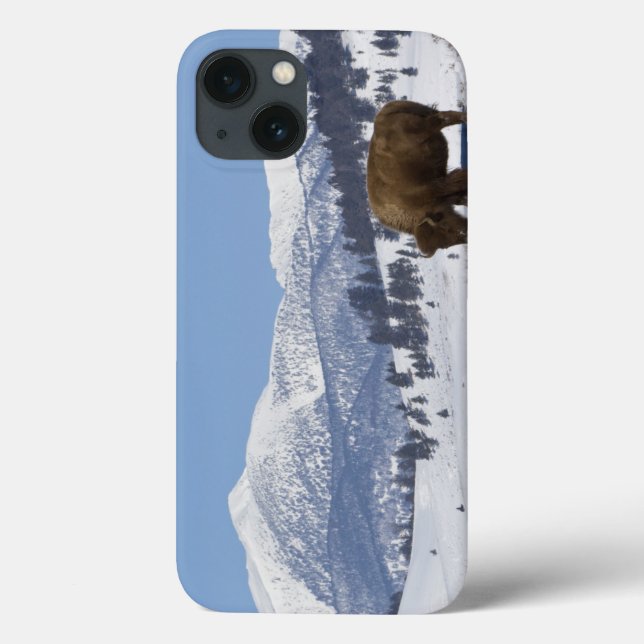 USA, WY, Yellowstone NP, American Bison Bison Case-Mate iPhone Case (Back)
