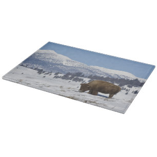 USA, WY, Yellowstone NP, American Bison Bison Cutting Board