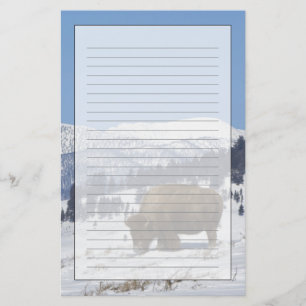 USA, WY, Yellowstone NP, American Bison Bison Stationery