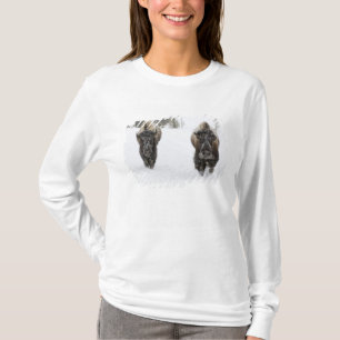 USA, WY, Yellowstone NP, American Bison (Bison T-Shirt