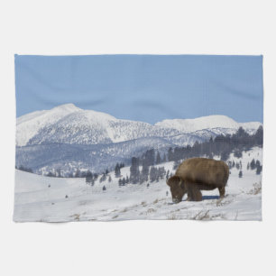 USA, WY, Yellowstone NP, American Bison Bison Tea Towel
