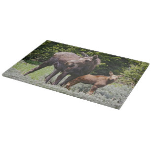 USA, Wyoming, Bighorn Mountains, moose Alces Cutting Board