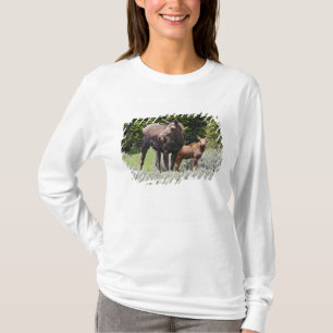 USA, Wyoming, Bighorn Mountains, moose Alces T-Shirt