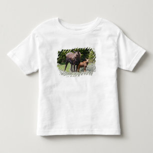 USA, Wyoming, Bighorn Mountains, moose Alces Toddler T-Shirt