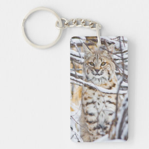 USA, Wyoming, Bobcat Key Ring