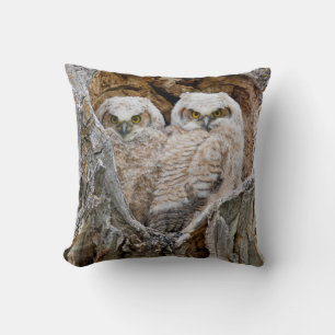 USA, Wyoming, Grand Teton National Park Cushion