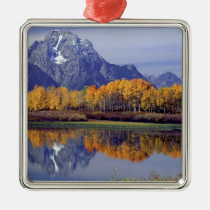 USA, Wyoming, Grand Teton National Park. Mt. Metal Tree Decoration