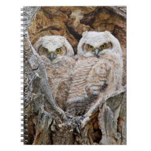 USA, Wyoming, Grand Teton National Park Spiral Notebook