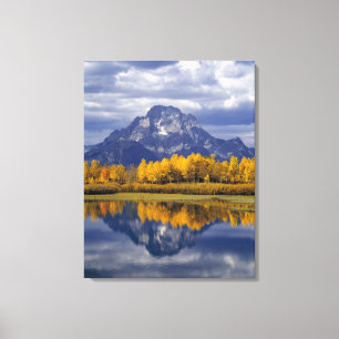 USA, Wyoming, Grand Teton NP. Against the Canvas Print