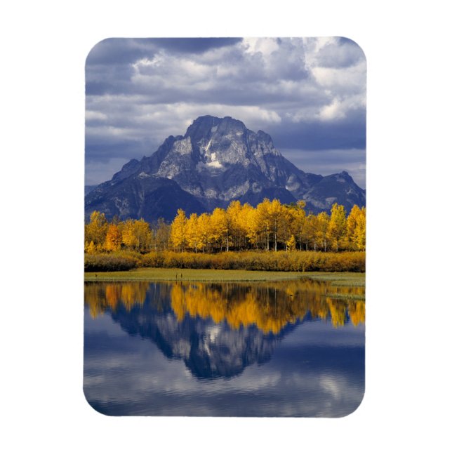 USA, Wyoming, Grand Teton NP. Against the Magnet (Vertical)