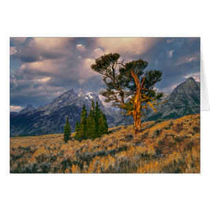 USA, Wyoming, Grand Teton NP. Sunrise greets a