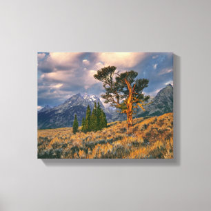 USA, Wyoming, Grand Teton NP. Sunrise greets a Canvas Print