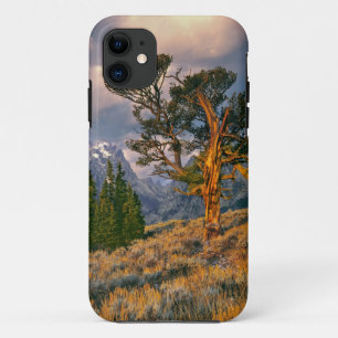 USA, Wyoming, Grand Teton NP. Sunrise greets a Case-Mate iPhone Case