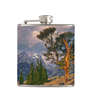 USA, Wyoming, Grand Teton NP. Sunrise greets a Hip Flask