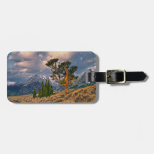 USA, Wyoming, Grand Teton NP. Sunrise greets a Luggage Tag