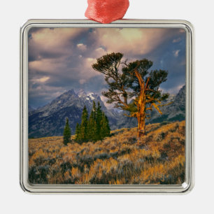 USA, Wyoming, Grand Teton NP. Sunrise greets a Metal Tree Decoration
