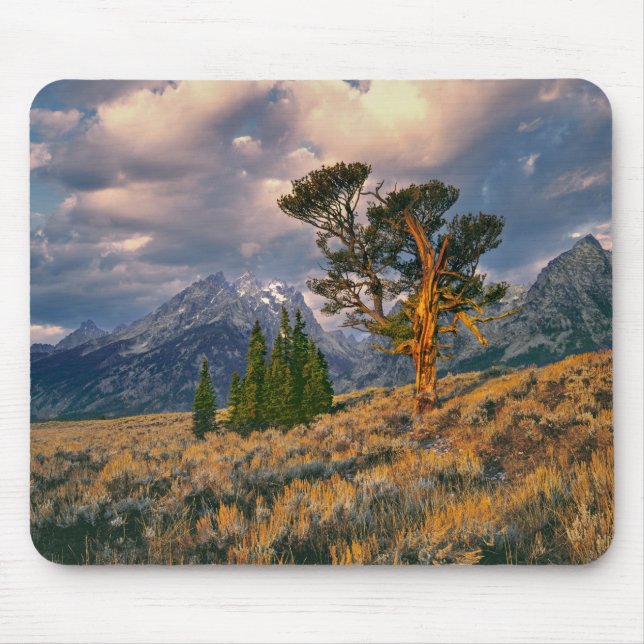 USA, Wyoming, Grand Teton NP. Sunrise greets a Mouse Pad (Front)