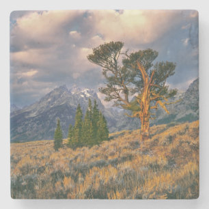USA, Wyoming, Grand Teton NP. Sunrise greets a Stone Coaster