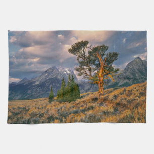 USA, Wyoming, Grand Teton NP. Sunrise greets a Tea Towel