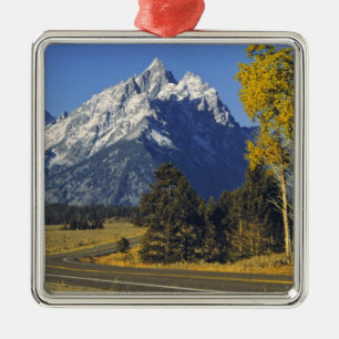 USA, Wyoming, Grand Teton NP. Teton Parkway Metal Tree Decoration