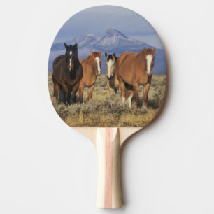 USA, Wyoming, near Cody Group of horses Ping Pong Paddle