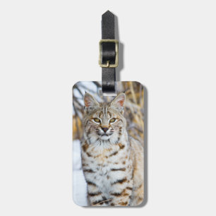 USA, Wyoming, Portrait of Bobcat Luggage Tag