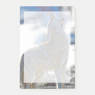 USA, Wyoming, Yellowstone National Park, Coyote Post-it Notes